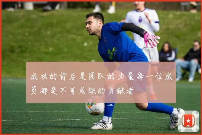成功的背后是团队的力量每一位成员都是不可或缺的贡献者